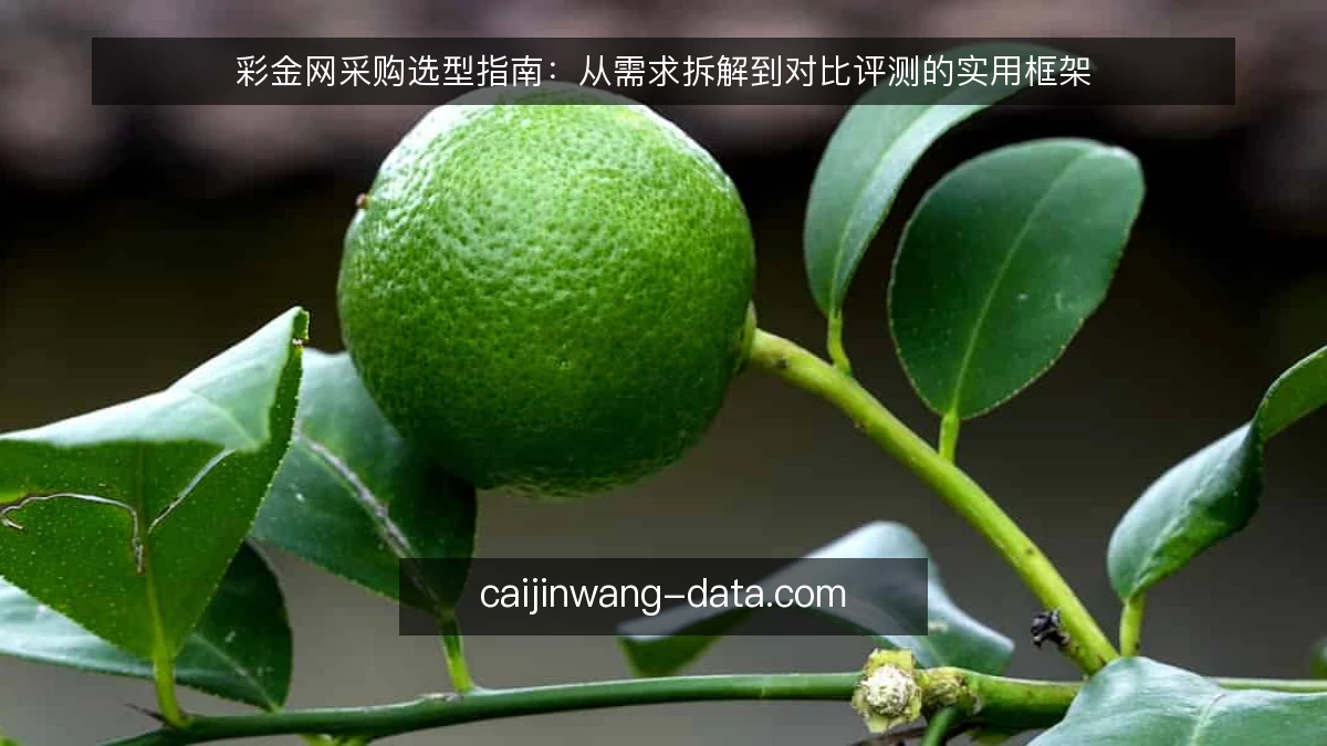 彩金网采购选型指南:从需求拆解到对比评测的实用框架