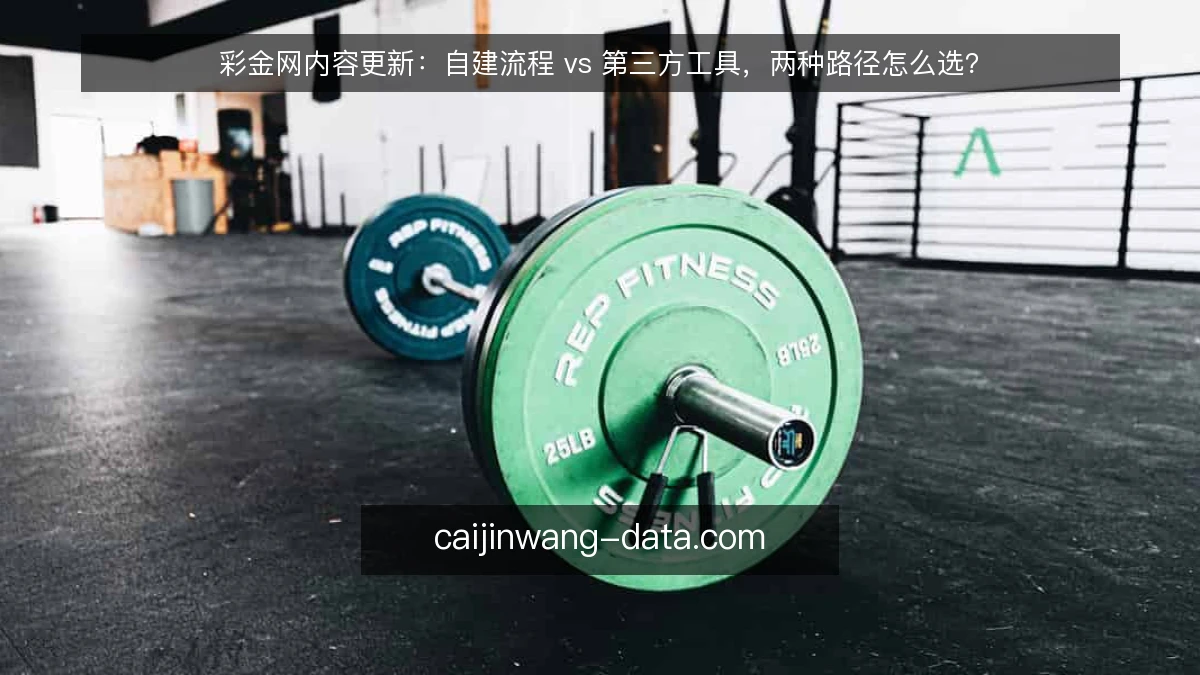 彩金网内容更新：自建流程 vs 第三方工具，两种路径怎么选？
