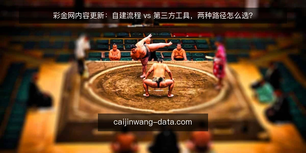 彩金网内容更新：自建流程 vs 第三方工具，两种路径怎么选？ — 先明确选型判断标准 配图
