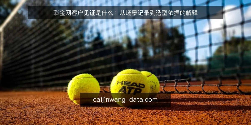 彩金网客户见证是什么：从场景记录到选型依据的解释 — 从一个具体困扰说起：案例信息为什么难用 配图