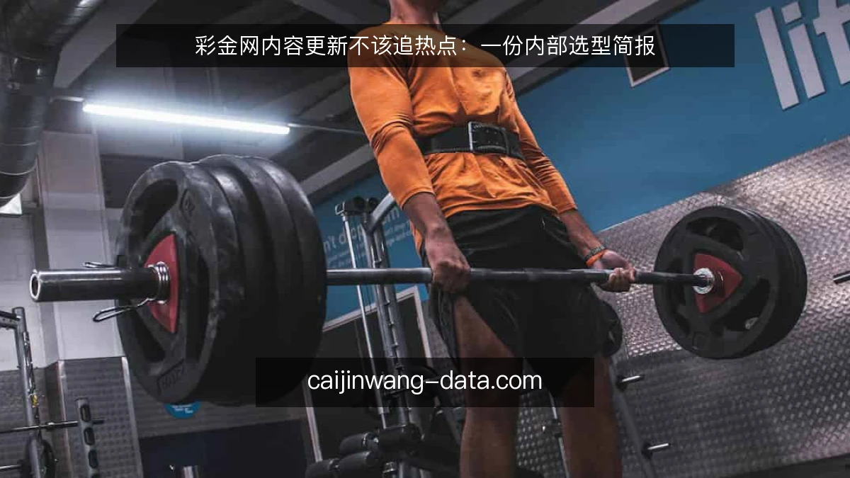 彩金网内容更新不该追热点：一份内部选型简报