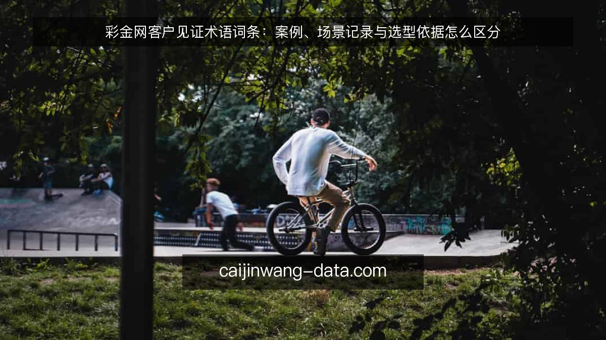 彩金网客户见证术语词条：案例、场景记录与选型依据怎么区分