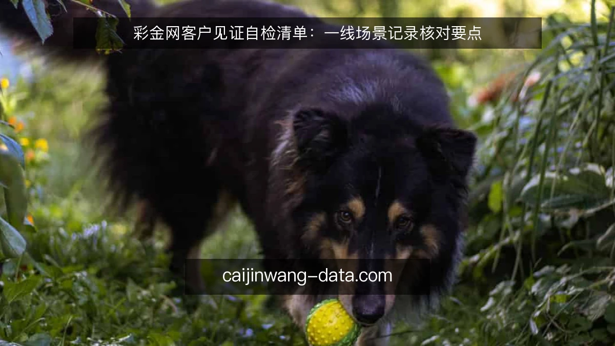 彩金网客户见证自检清单：一线场景记录核对要点